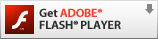 t&eacute;l&eacute;charger adobe flash player